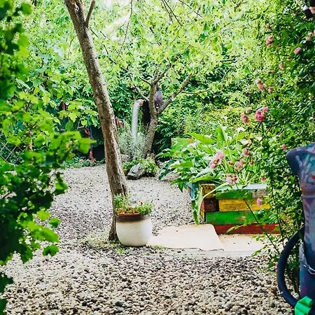 Maxia Galega -arte, Natureza, Relax -ribeira Sacra Apartment *